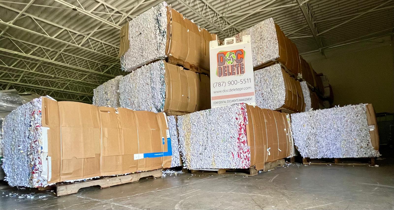 WhatsApp Image 2026-02-28 at 1.03.44 PM